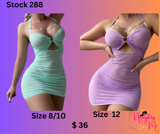 Sexy Sheer Nightgown and Thong