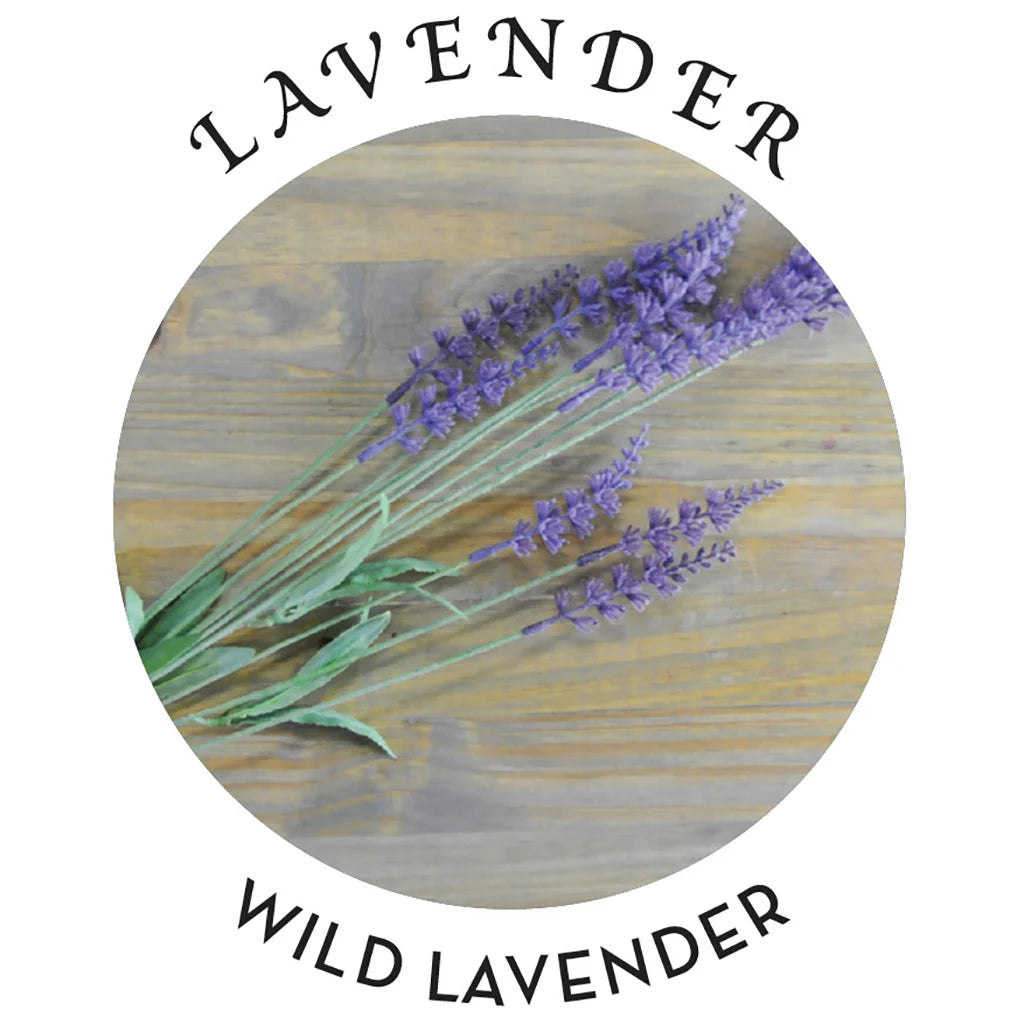 3-in-1 Massage Candle 6oz/170g in Lavender